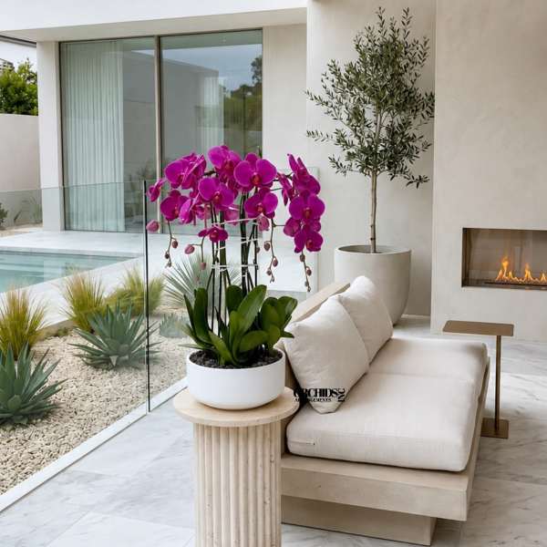 Potted magenta orchids on a small table beside a beige sofa