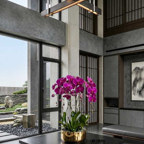 Potted purple orchids in a gold planter on a black table