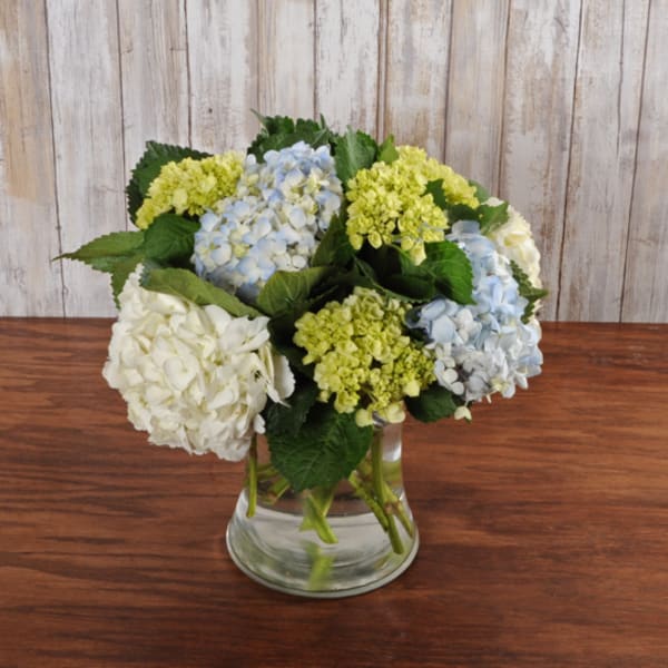 Low arrangement of white, green, and pale blue hydrangeas in a clear glass vase