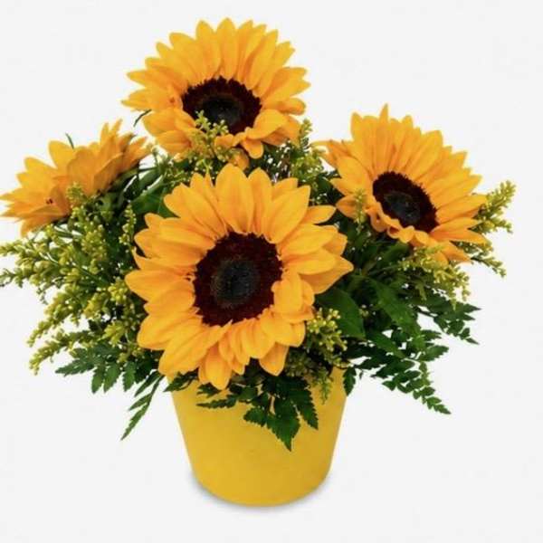 Sunny Sunflowers