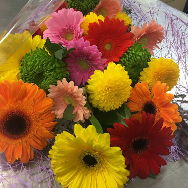 Gerberas bouquet