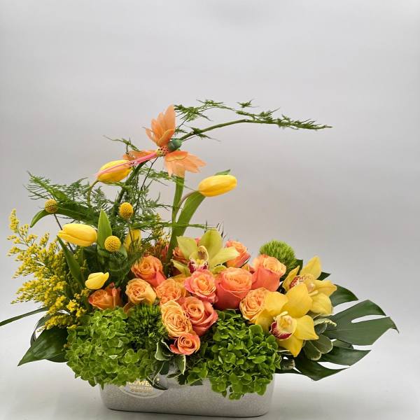 Pirouette