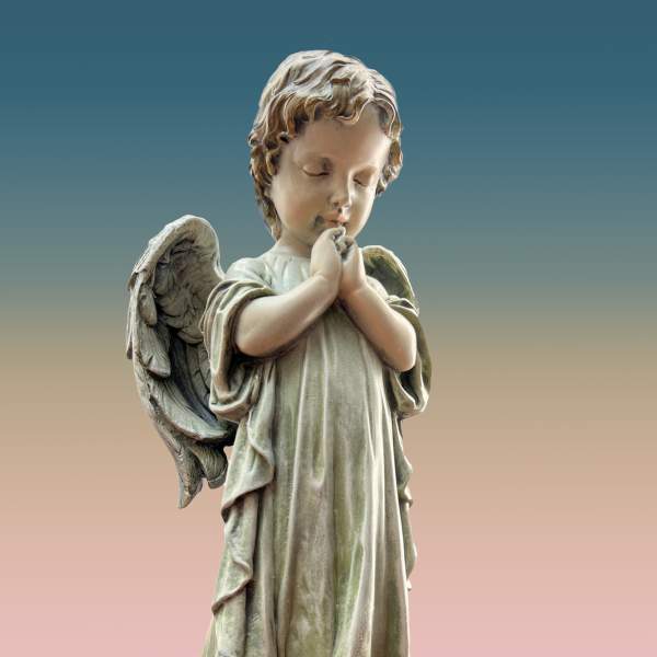 Praying Angel Boy