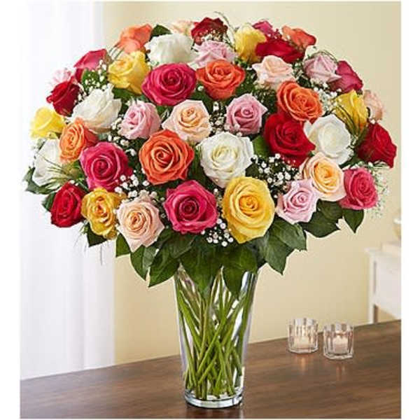 Ultimate Elegance™ Long Stem 50 Assorted Roses