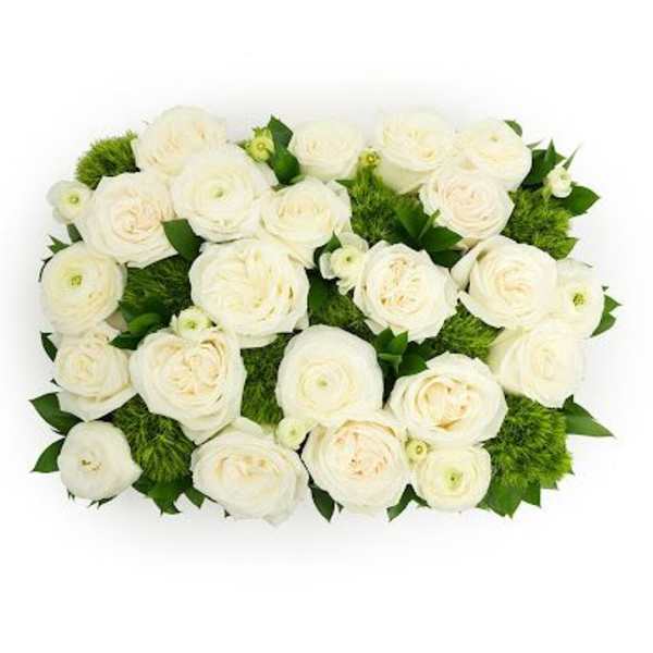 Rectangular arrangement of white ranunculus with green tufted blooms in a compact design