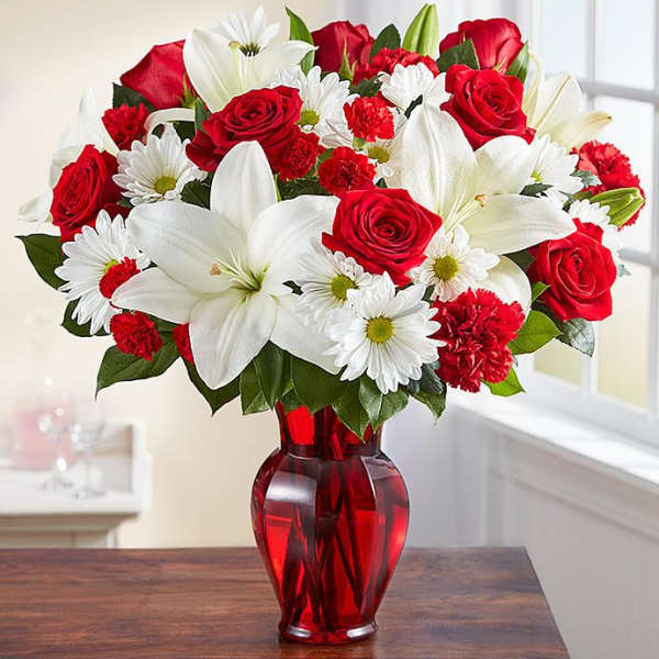 Red & White Delight