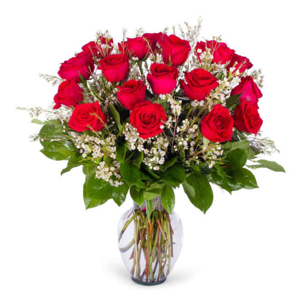Bouquet of red roses with white filler in a clear glass vase