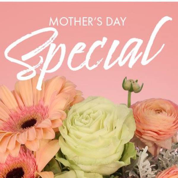 Mother's Day graphic with pastel flowers and the word Special