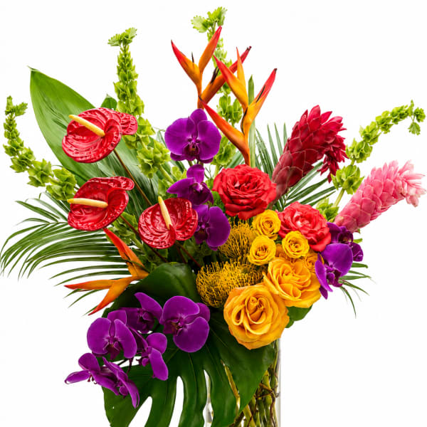 Paradise Found (V Signature™)