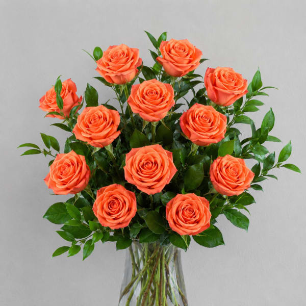 Orange Roses