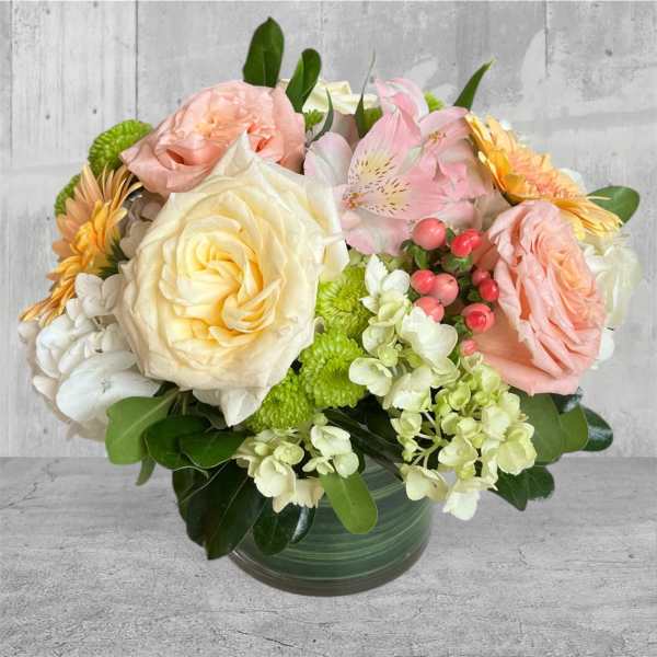 ED14 Light and Bright