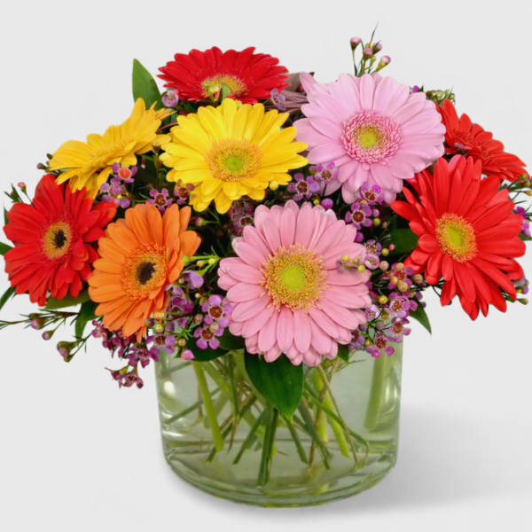 Colorful gerbera daisy bouquet in a glass vase