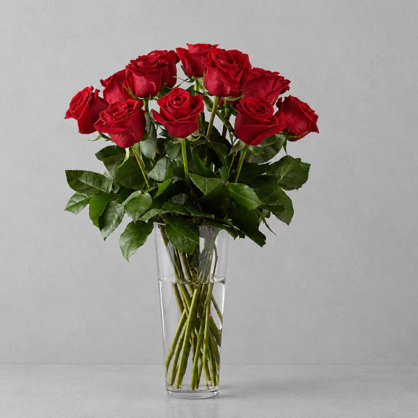 Red Roses