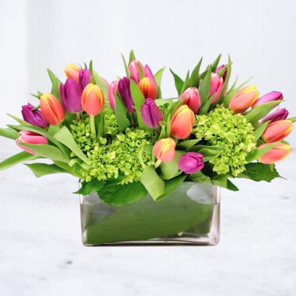 Colorful tulips arranged in a clear rectangular vase