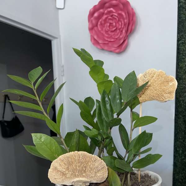 Potted green plant with decorative beige mushroom picks