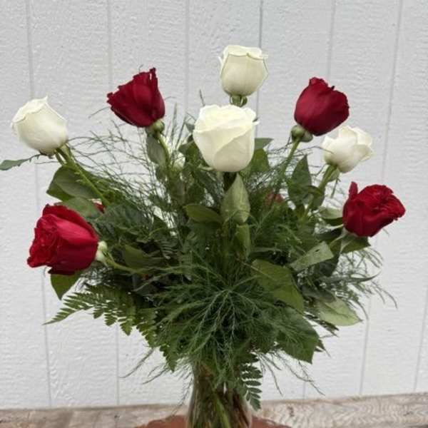 Aggie Dozen Roses