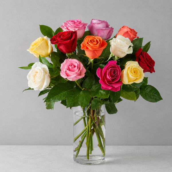 Mix Colored Roses