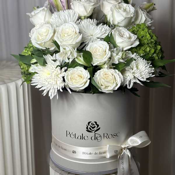Royal White Box