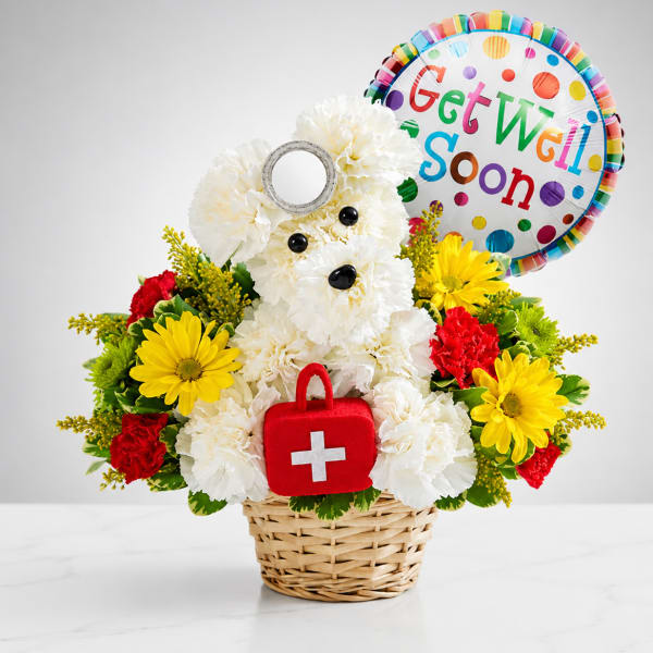 Healing Puppy