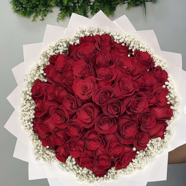 Round bouquet of red roses edged with white baby's breath and white wrap
