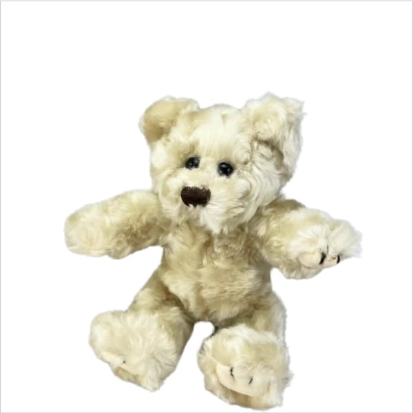 Cream-colored teddy bear plush with outstretched arms