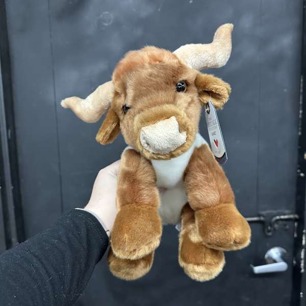 Brown plush cow toy with white horns and snout being held up