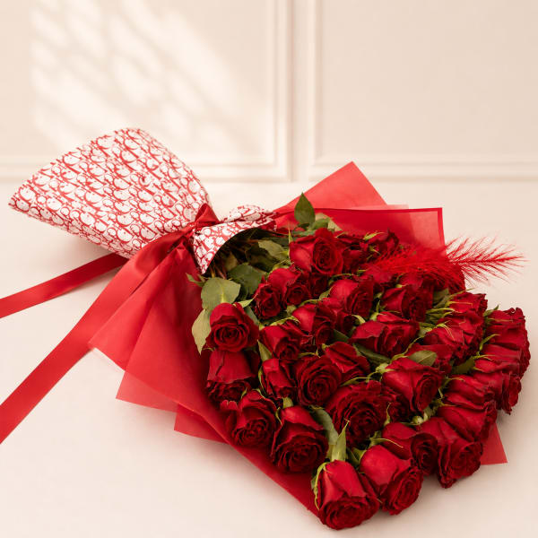 24 Red Wrapped long stem Roses