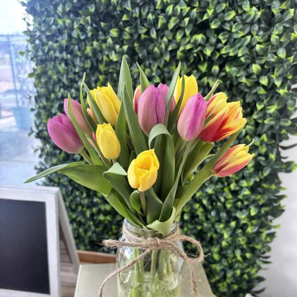 Tulip Garden