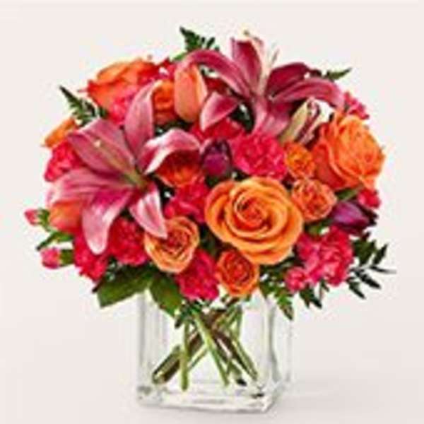 Lucky Lily