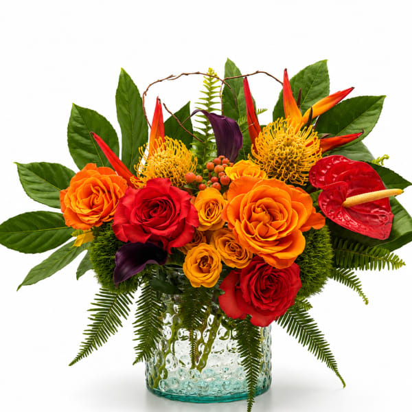 Tropical Fusion (V Signature™)