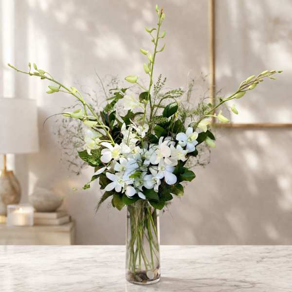 White Dendrobium Orchid Elegance