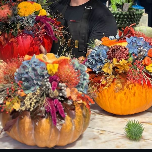 Holliday Pumpkin