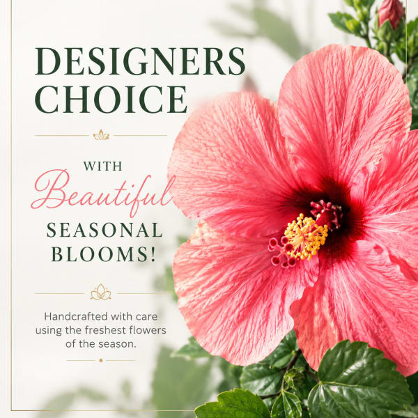 Pink hibiscus flower with green leaves and promotional text on a light background