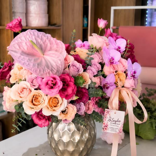 Pink Anthurium