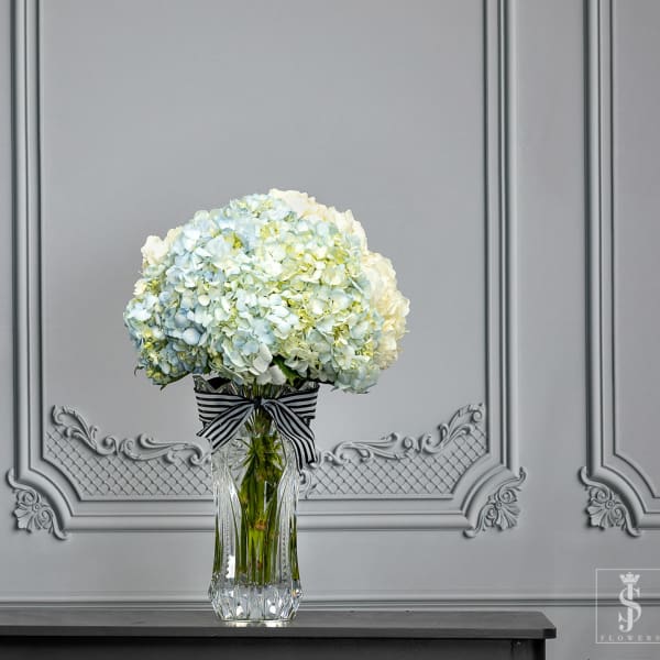 White and pale blue hydrangeas in a clear vase with a striped ribbon