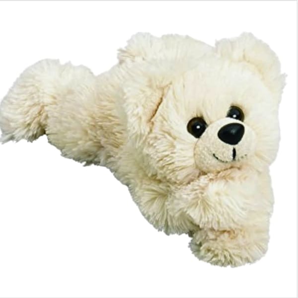 Cream-colored teddy bear plush toy on a white background