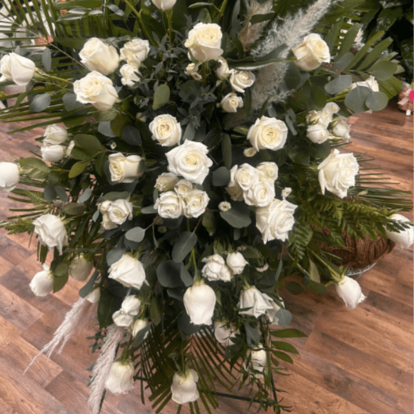 33 Rose