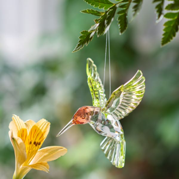 Glass hummingbird ornament hanging near a yellow flower
