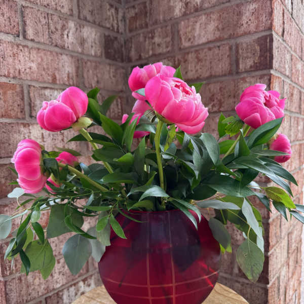 Pink peonies arranged in a red glass vase