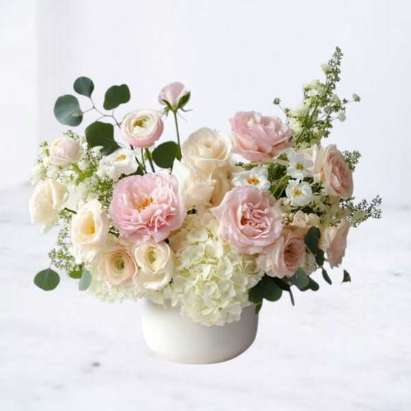 Cloudberry Chantilly