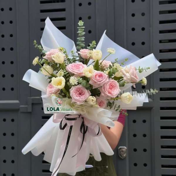 White and Pink Rose