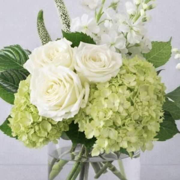 White roses and pale green hydrangeas in a clear glass vase