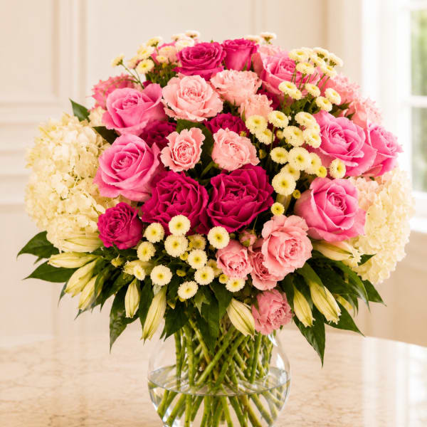Candy Harmony