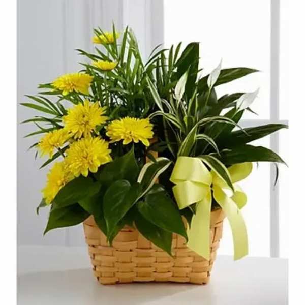 Yellow flowers in a woven basket with a ribbon
