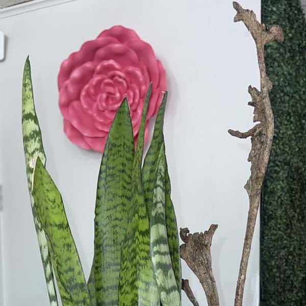 Potted snake plant with a pink flower accent and decorative branches