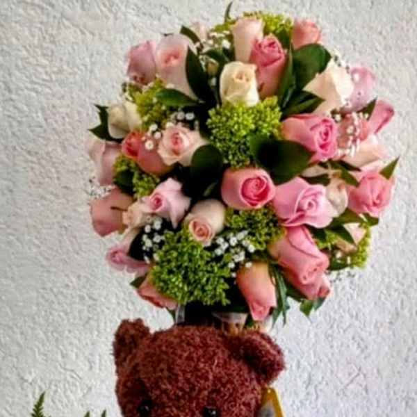 Sweet Teddy Rose Garden