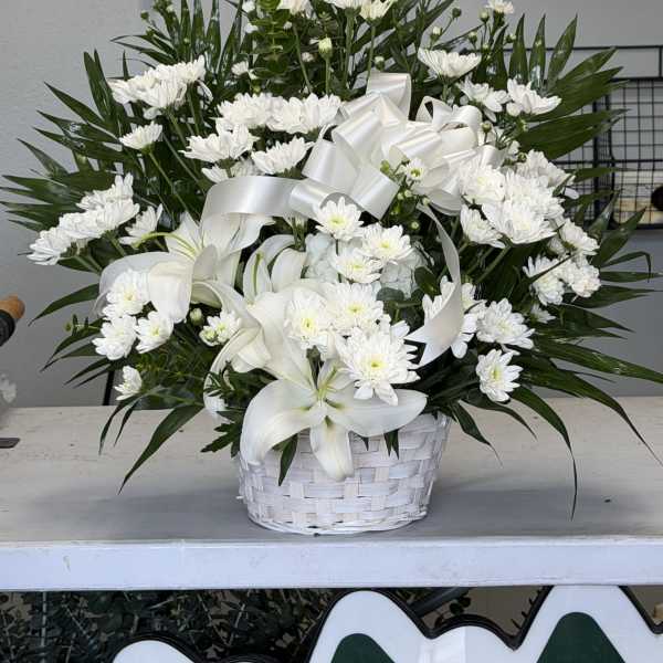 Cushion Sympathy basket