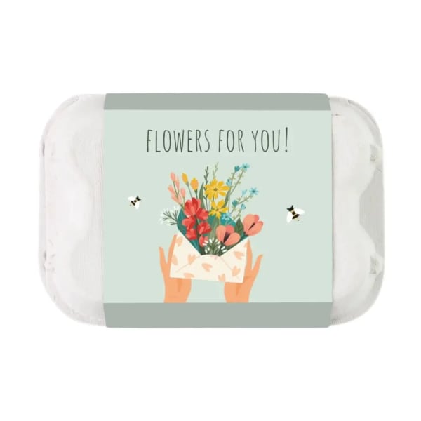 Carton | Wildflower Seed Balls