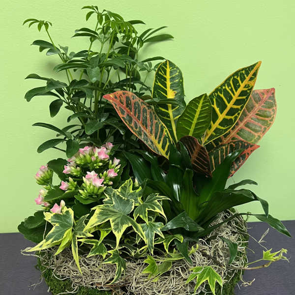 Mixed potted plants with pink flowers in a woven basket