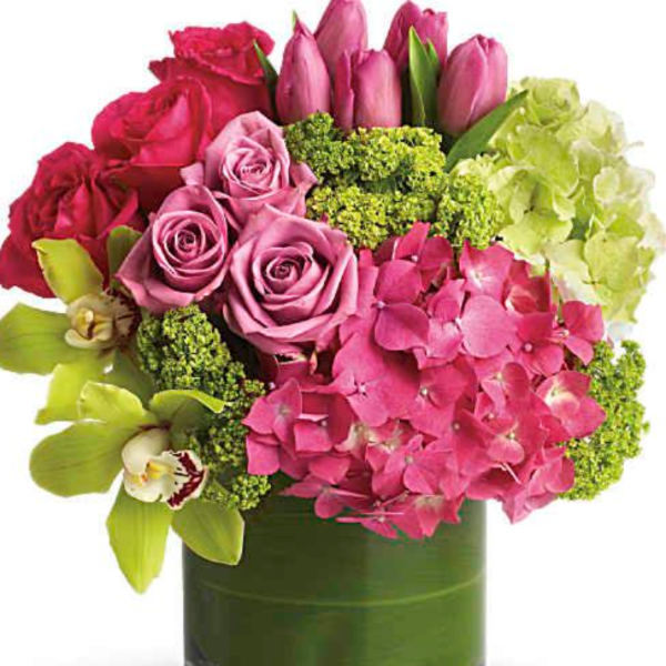 New Sensations